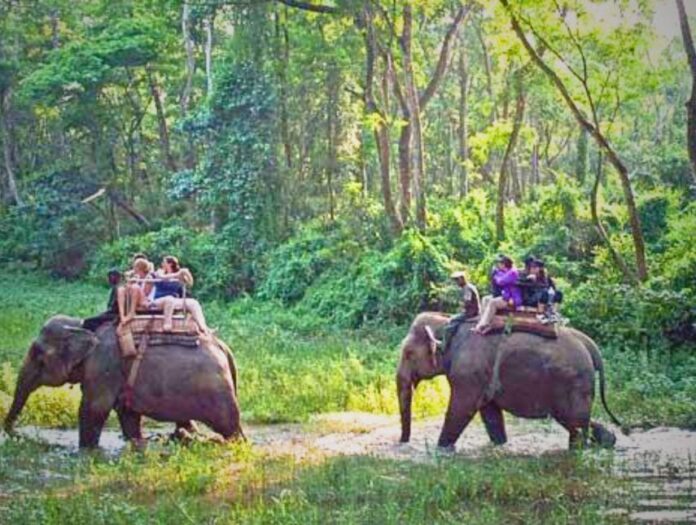 Untitled design - 2024-08-05T155636.646