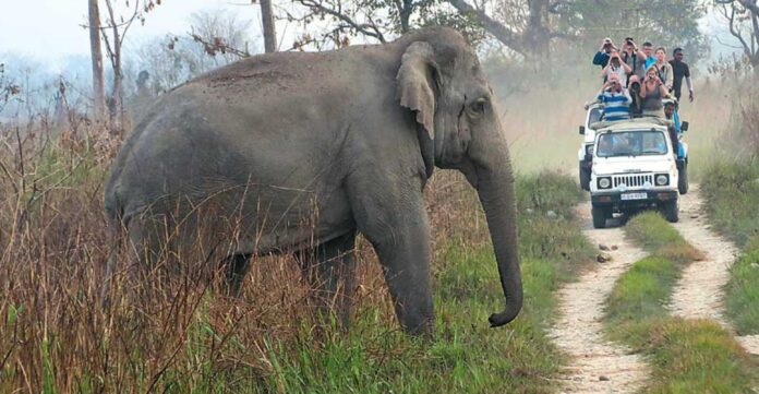 Untitled design - 2024-08-20T161400.489